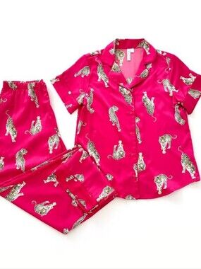 Joyspun Women's Tiger Print Pajama Set - Size 2X
